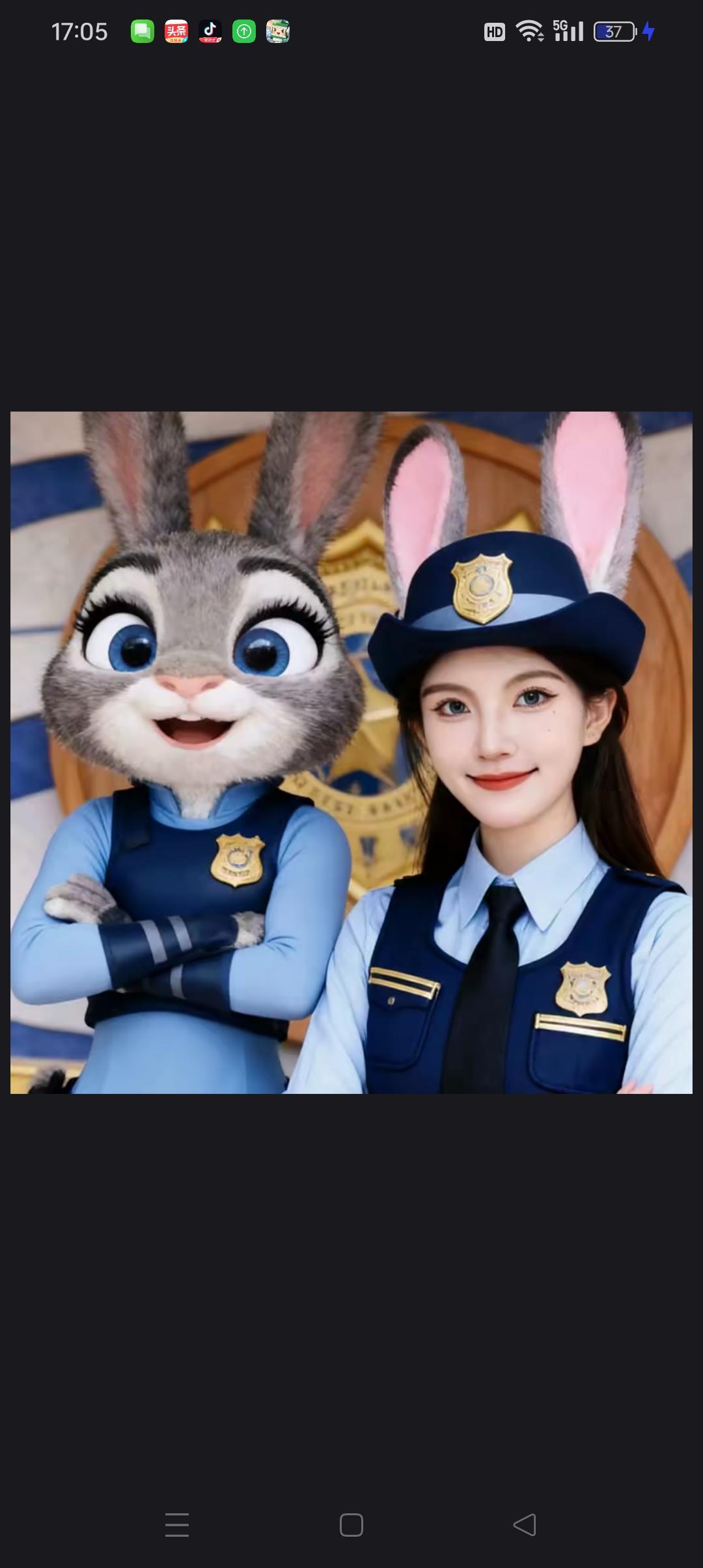 兔子警官