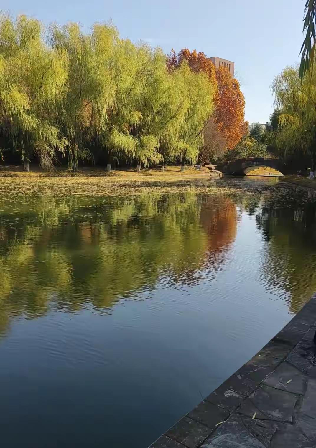 关于安徽某高校大一女生晚间坠湖一事，与家属不一样的声音出现了。
家属说是在校参加