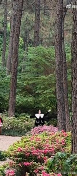 陈都灵跳误闯天家快看！我们的小公主国王前来巡视领地啦！陈都灵误闯像素小游戏的画面