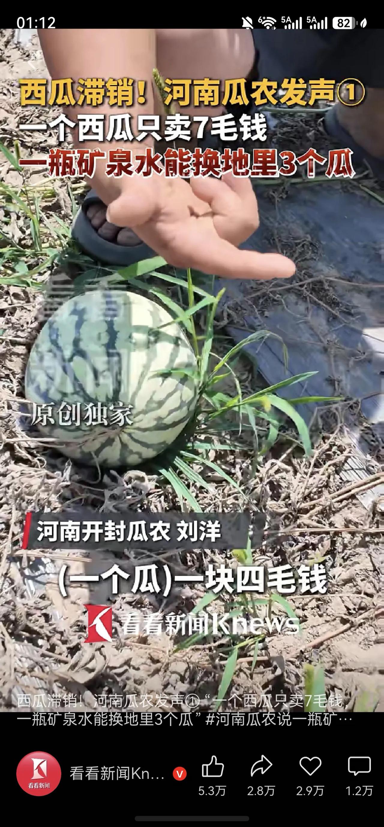一个西瓜只能卖7毛钱，这是真的吗？
希望这个不是真的，不然瓜农的辛苦付出，得到的