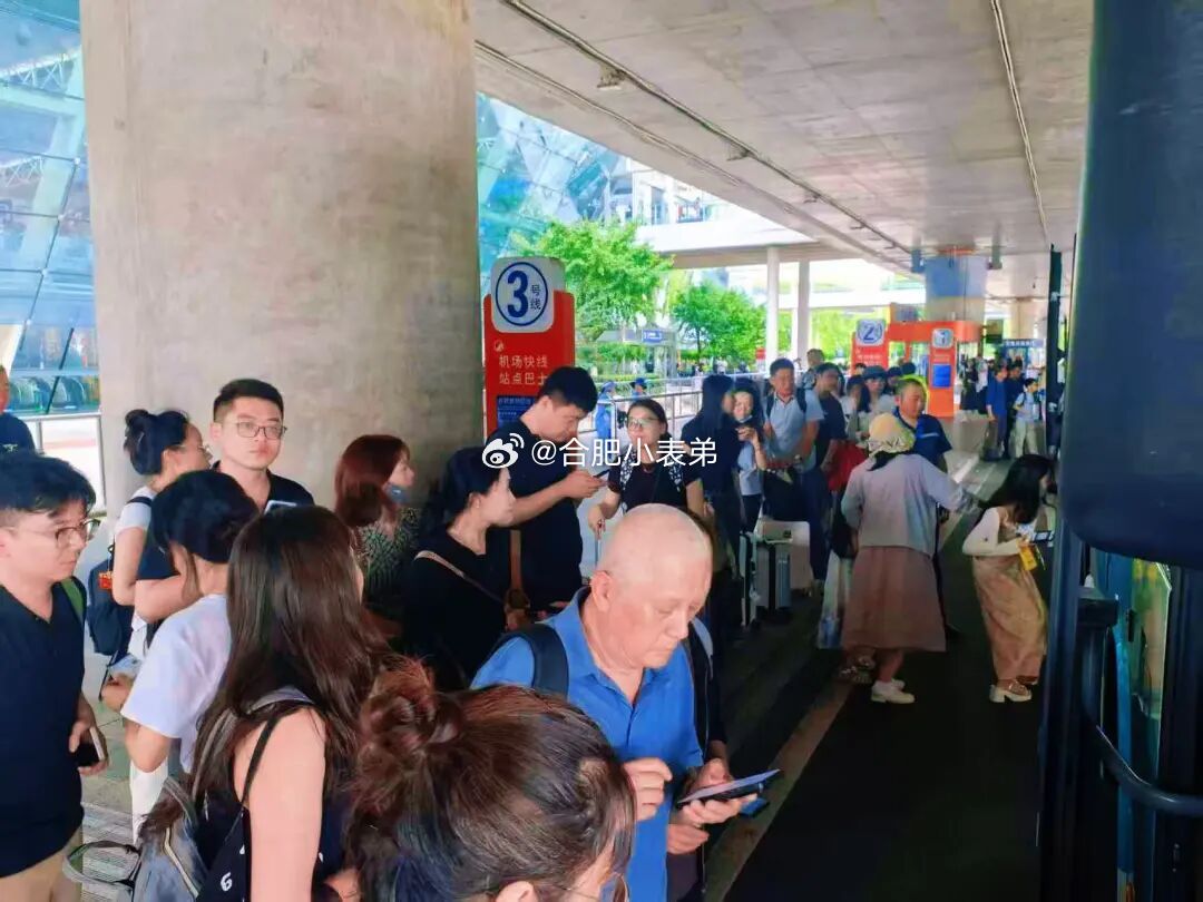 白海豚 上班台风白海豚致安徽多趟列车临时停运台风“白海豚”登陆浙江，杭州、上海方