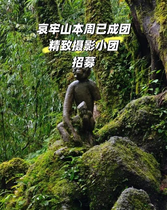 哀牢山
🚩DAY1：昆明—嘎洒吃饭—原始森林—茶马古道落日
🌅早上08.00