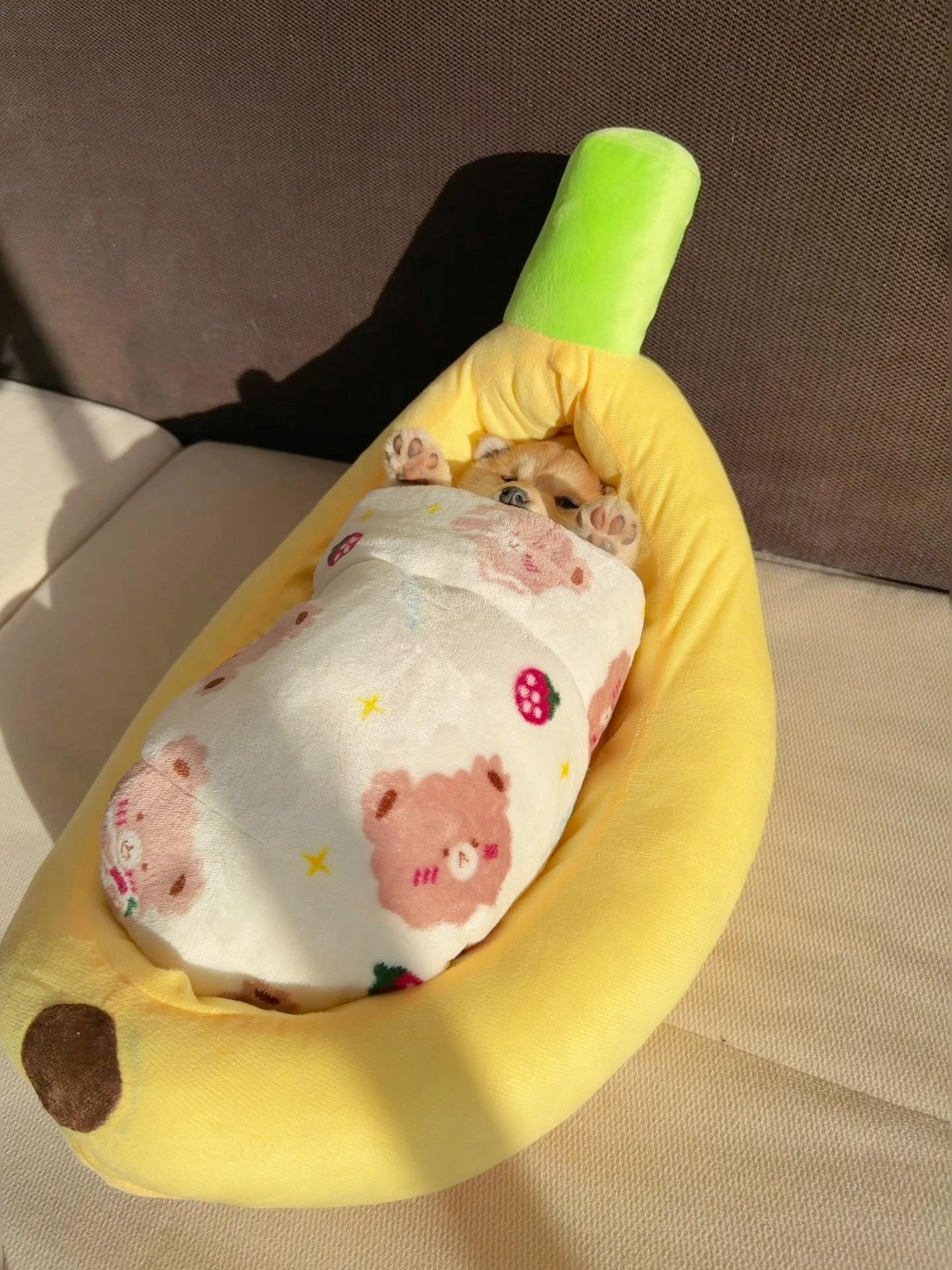 我睡了~我骗你的🤪
