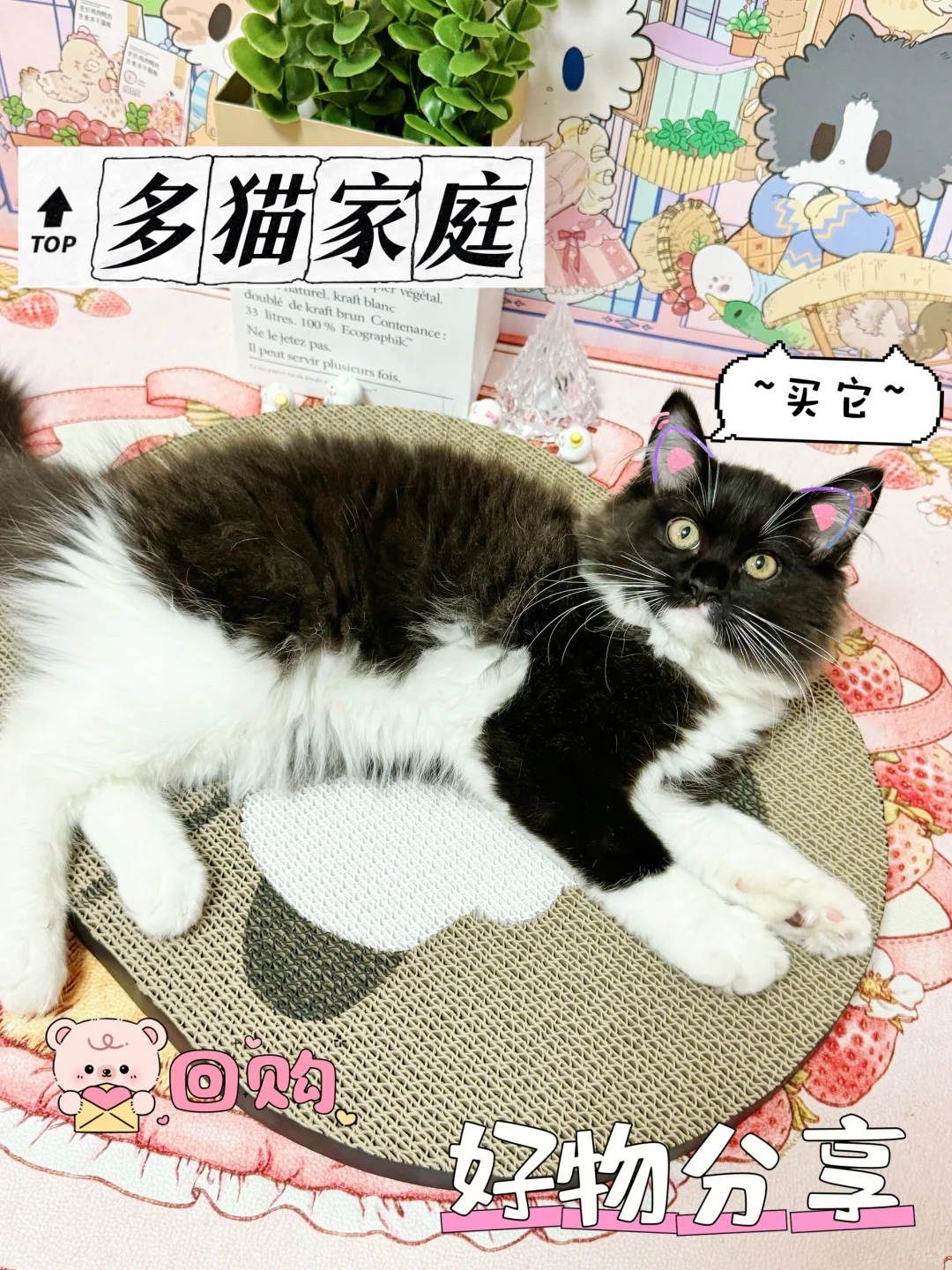 8🈷️好物合集第2🥚