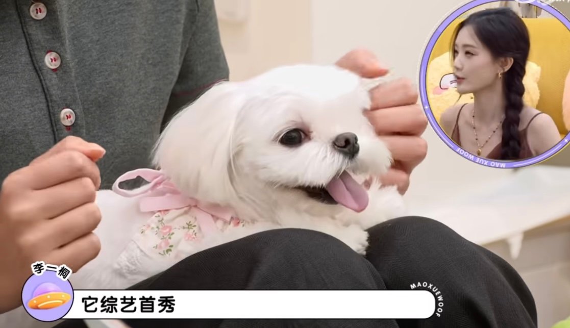 李一桐狗的综艺首秀李一桐肉肉的综艺首秀哈哈哈哈哈哈哈李一桐肉肉的综艺首秀 ​​​