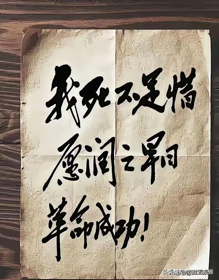 字字见风骨，句句照初心！品读杨开慧烈士笔墨，读懂最动人的巾帼信仰
 
杨开慧烈士