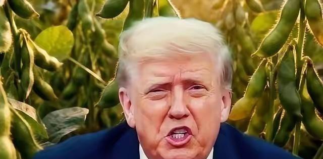 万一阿根廷，美国，巴西三国大豆全部涨价，中国怎么办？ 如果阿根廷、美国、巴西三大