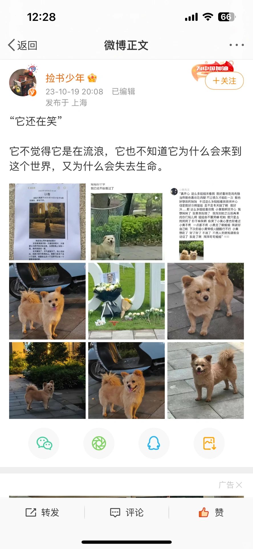 小狗不觉得自己是在流浪
魑魅魍魉，举着人类至高无上的大旗狂欢。
小黄，下辈子不要...