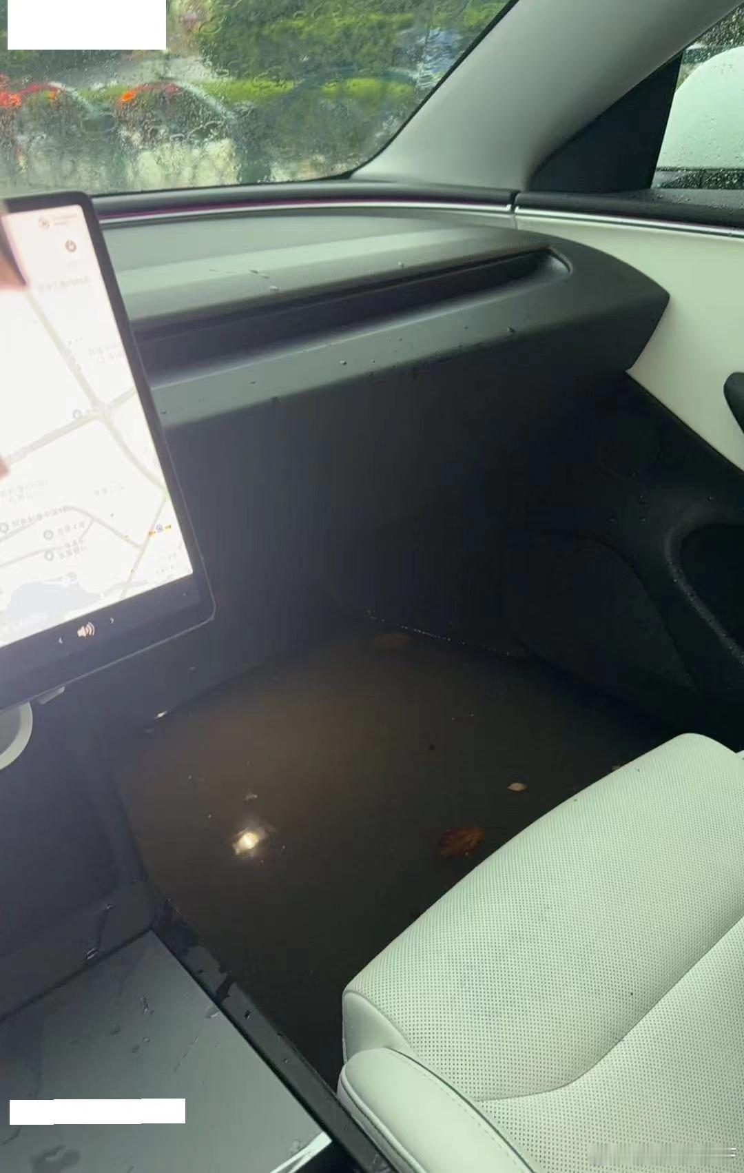 怎么样鉴别一辆特斯拉的密闭性很好就是副驾驶可以充当鱼缸特斯拉