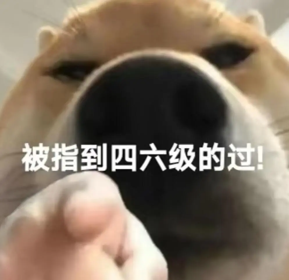 四六级马上出成绩❗️