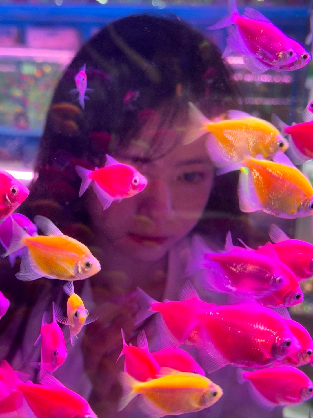 你我都是这池中鱼 ​​​