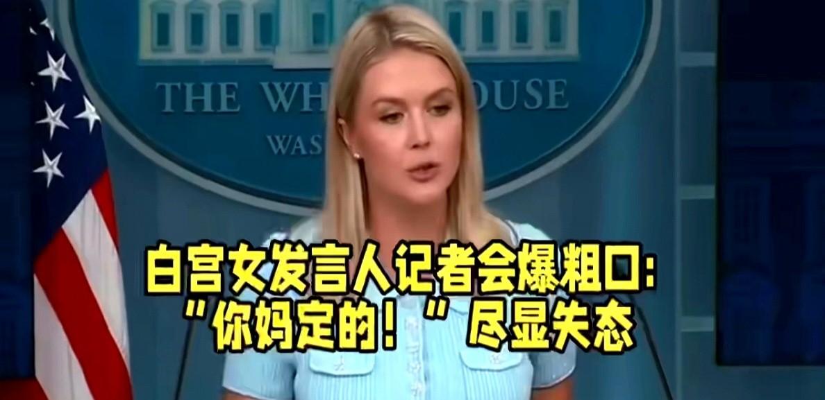 川普要见普京？在布达佩斯？哈！白宫发言人竟说你妈选的不是一次，是连着两句你妈选的