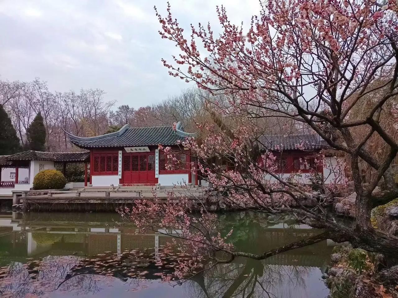 《立春日咏梅》
琼枝破腊点新痕，先领东风到故园。
莫道冲寒香色浅，已传春信满人间