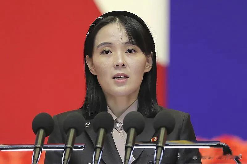 朝韩撕破脸！韩邀朝参加APEC被怼“做白日梦”，朝鲜彻底凉了？
 
7月28日，