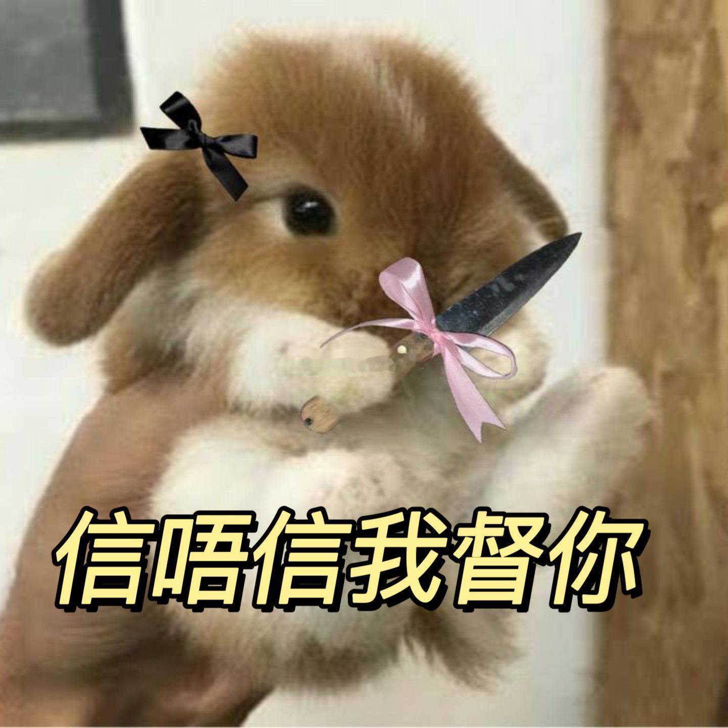 小程秀听到有人蛐蛐邵群belike ​​​