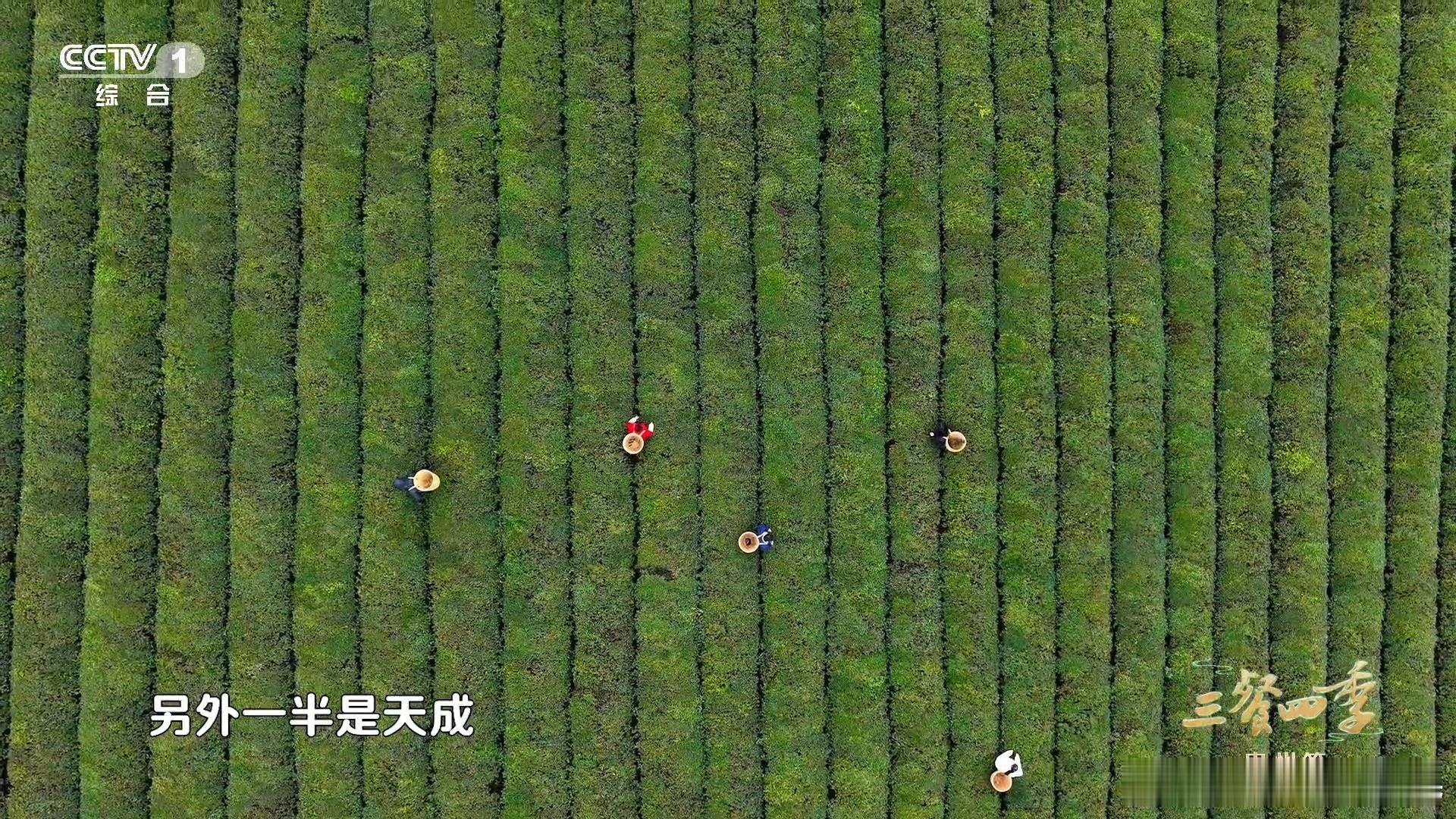 三餐四季寻味贵州 家乡味，是每个人心中最独特的存在。它承载着我们的记忆，记录着我