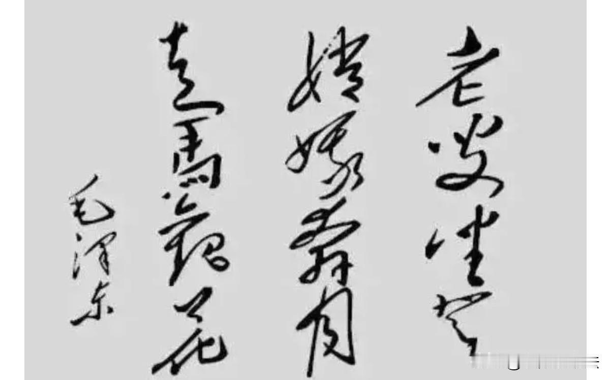 毛主席送给尼克松的12字墨宝，笔势纵横，龙飞蛇舞；寓意深远。至今无人破解