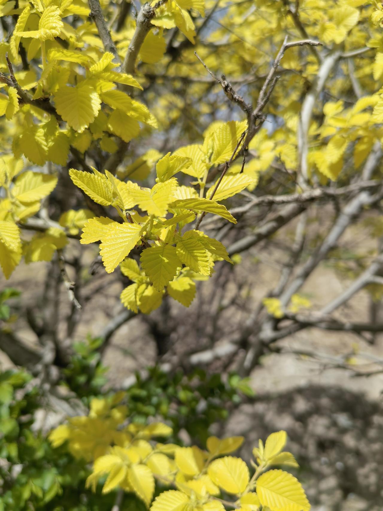 有的人来享受世界，有的人一生都在痛苦之中。