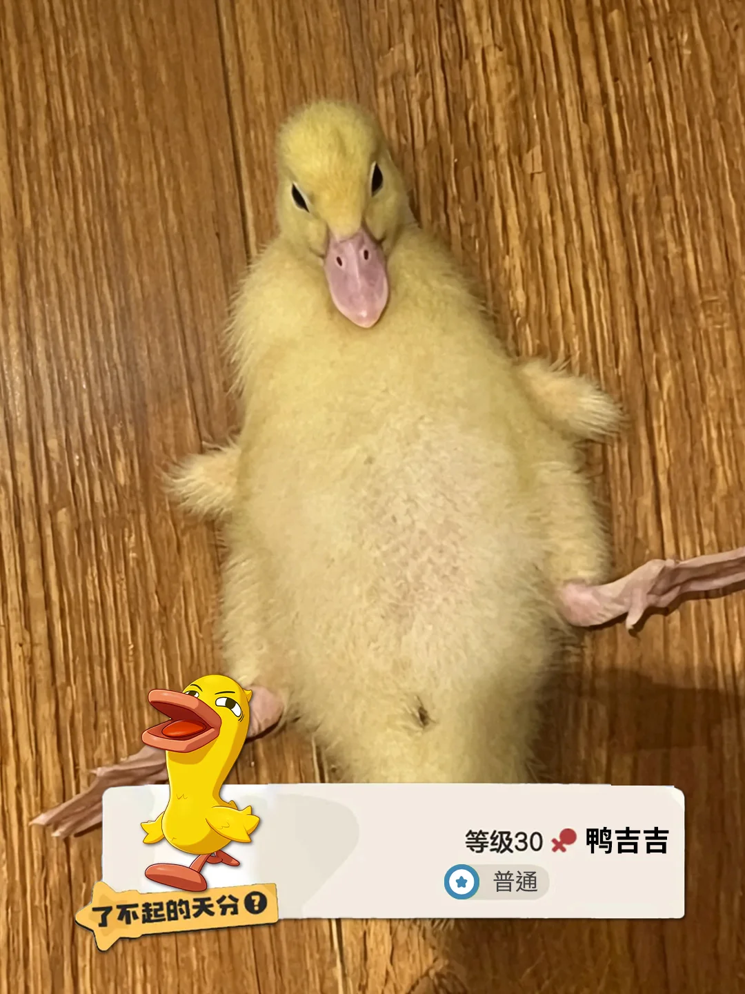 当洛克王国世界入侵现实…