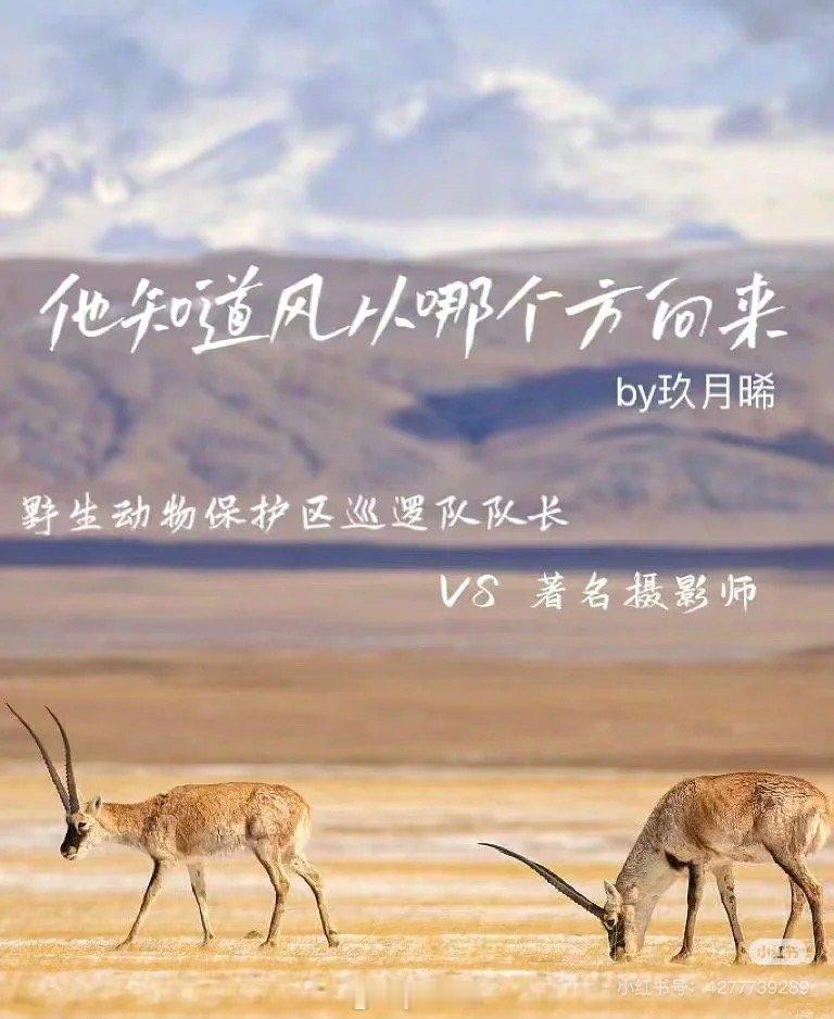 看生命树想起这本他知道风从哪个方向来，男主彭野就是野生动物保护区巡逻队队长，这个