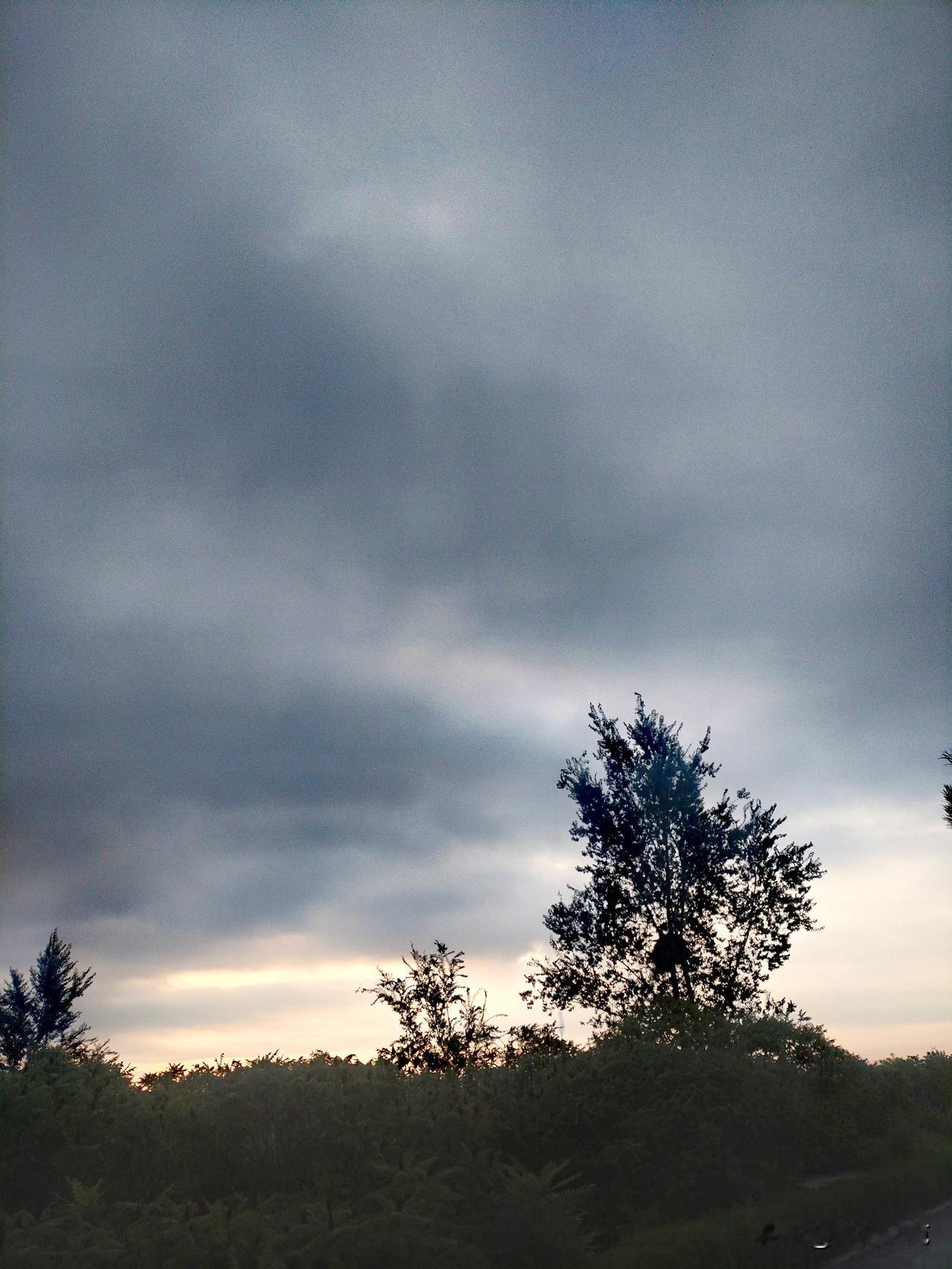 登高依旧见不到去年的我。清晨，
我跑步至山下——走向人间的高处，
山，慢慢抬起我