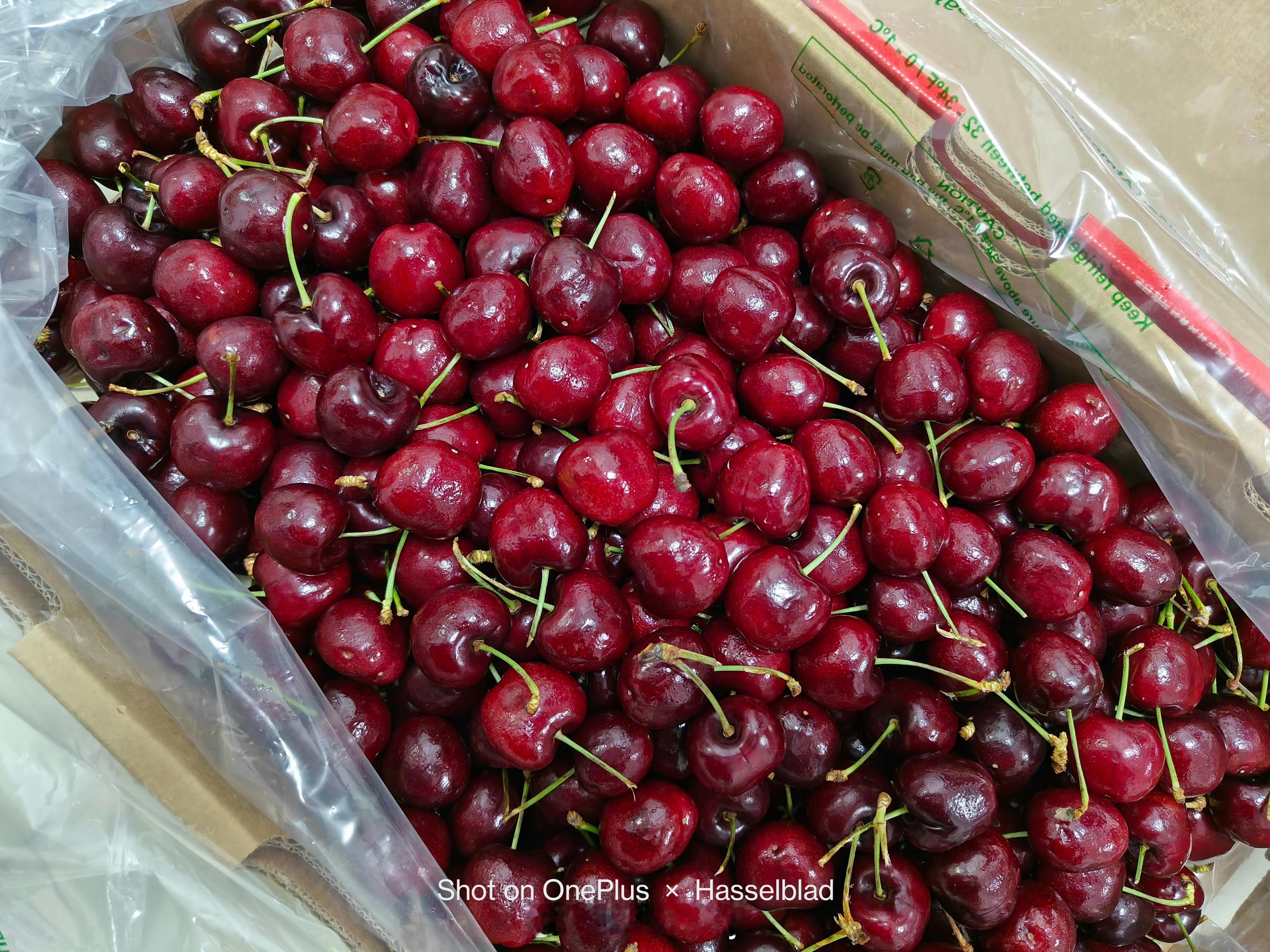 现在大家买水果都会认真看日期，商家称最新车厘子也是去年12月份的 这确实不咋新鲜