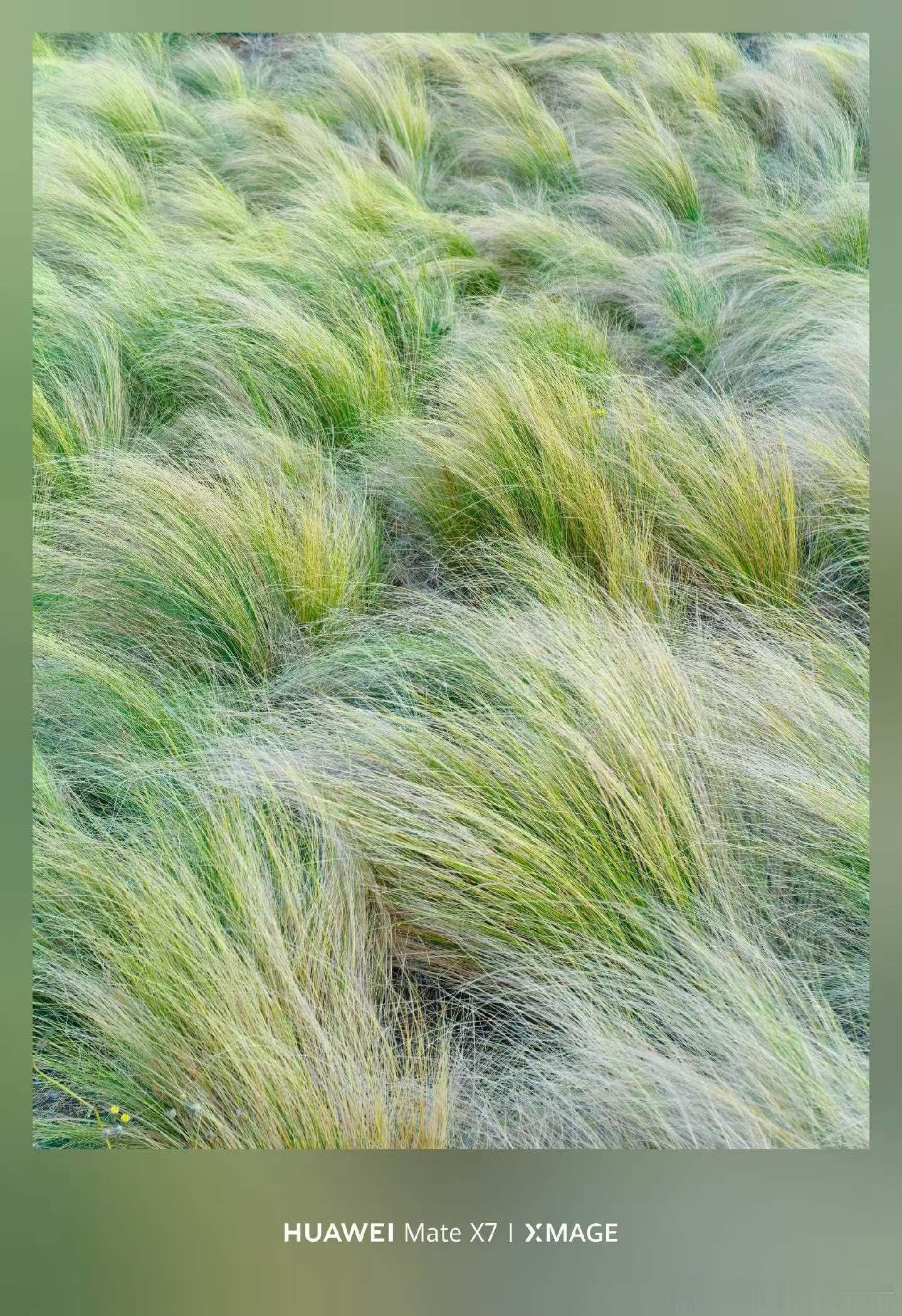 市场的波动，把收益给谁？有波动才有交易，无波动就无市场市场上最厉害的人应该是那些