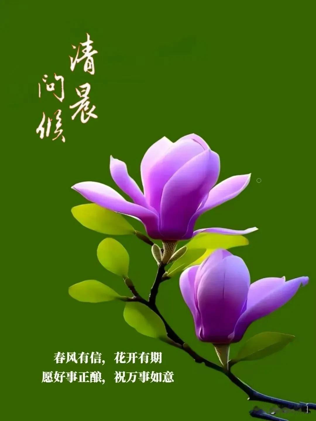 五律《悟心》
 
世事皆看淡，
浮生顺自然。
心宁无俗竞，
意淡守清欢。
亲厚温
