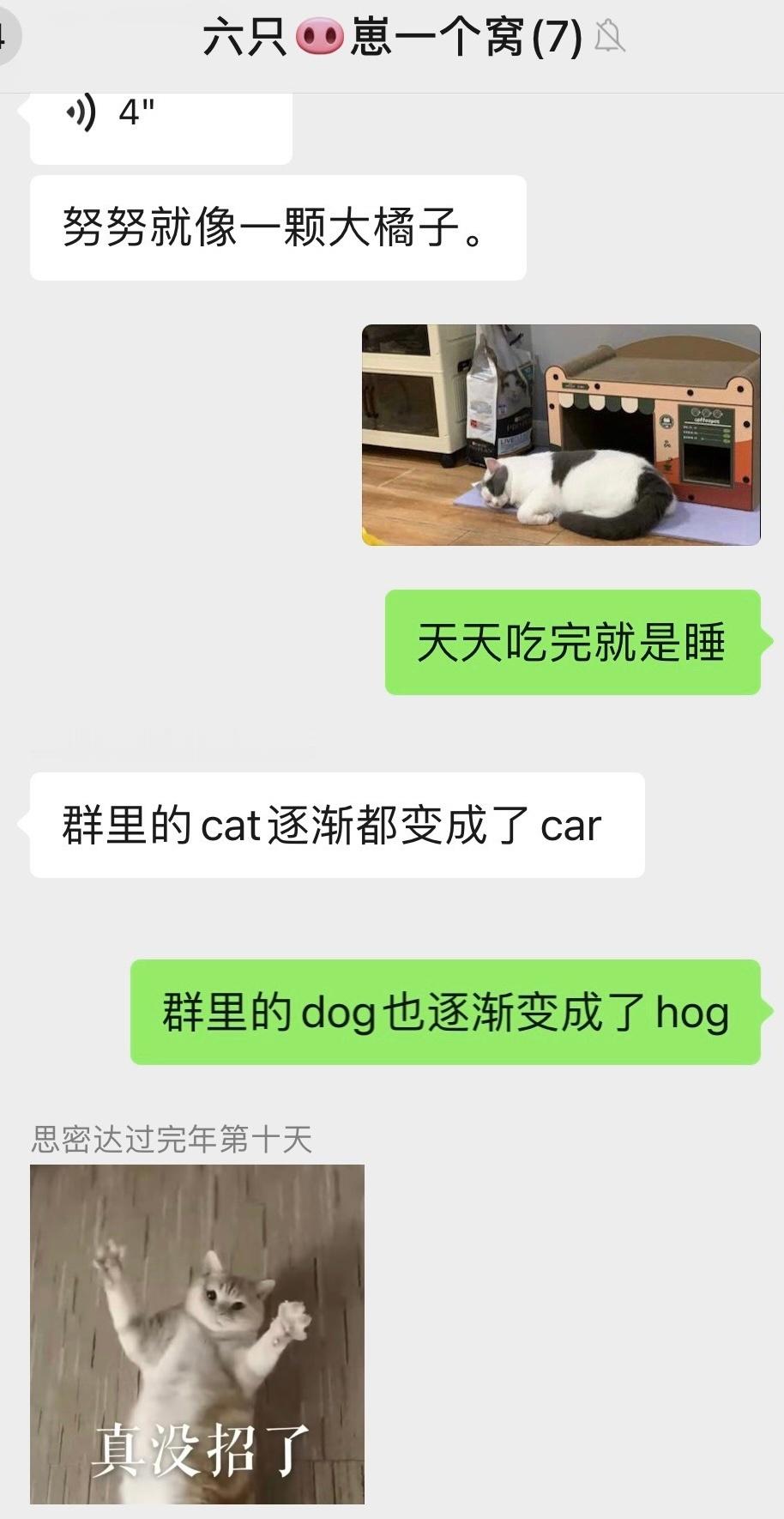 Phanbb的购物分享here4uꉂ ᳐˶ᵒ ᵕ ˂˶ ᳐ฅ ​​​