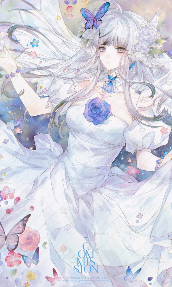 蝴蝶🦋