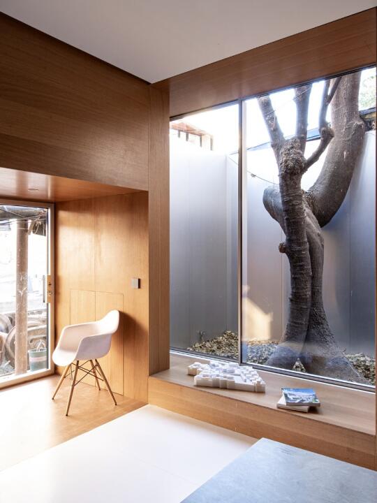 TAOA 798工作室 🌳 铝盒与一棵树的对话