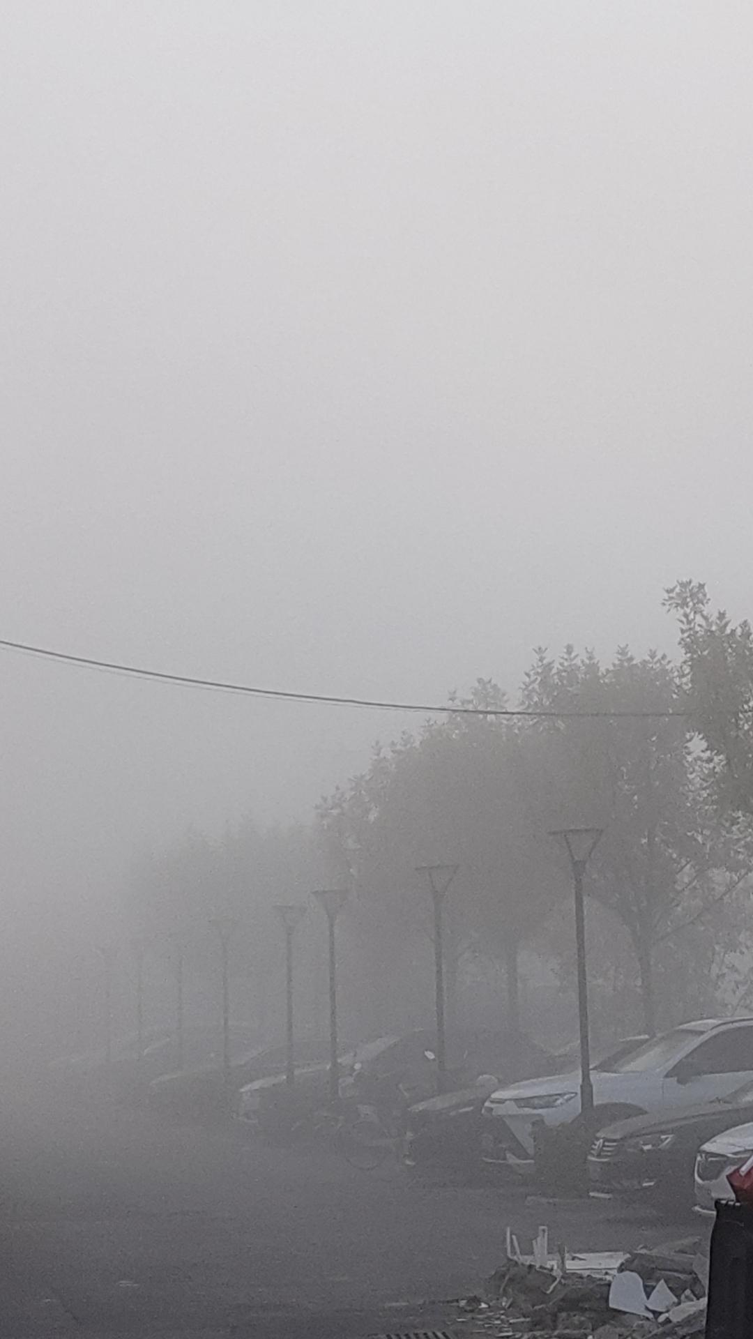 人心叵测
张乙因妻子出轨等原因，与妻子争吵后，制造交通事故撞死儿子小张并骗保，与