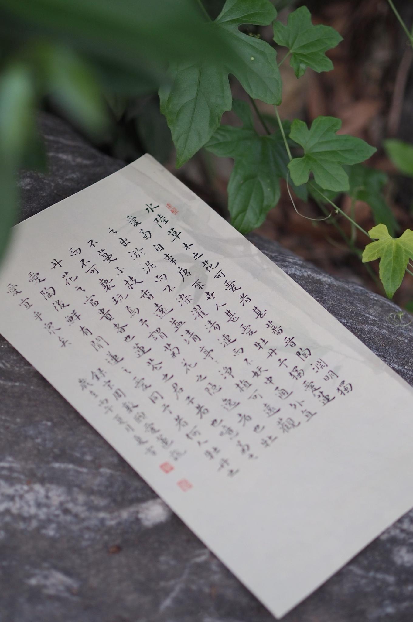 予獨愛蓮之出淤泥而不染，濯清漣而不妖，中通外直，不蔓不枝，香遠益清，亭亭淨植，可