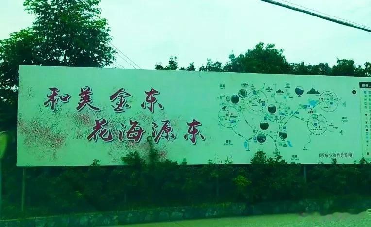 浙中桃花源，大雨过后只剩下满地的桃子了！