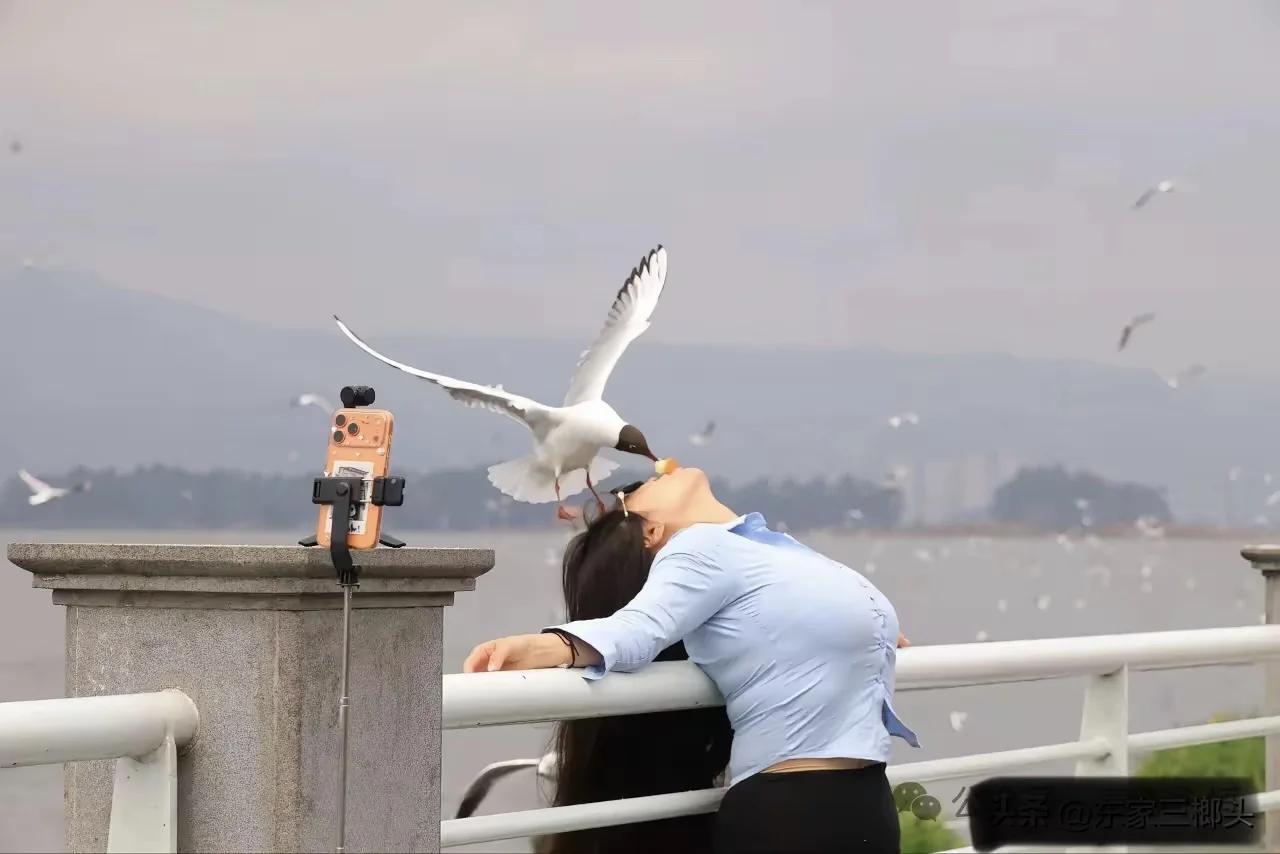 成年人的世界里，界限感本身就是语言。阅历丰富的女人在你面前变得“不懂分寸”，不是