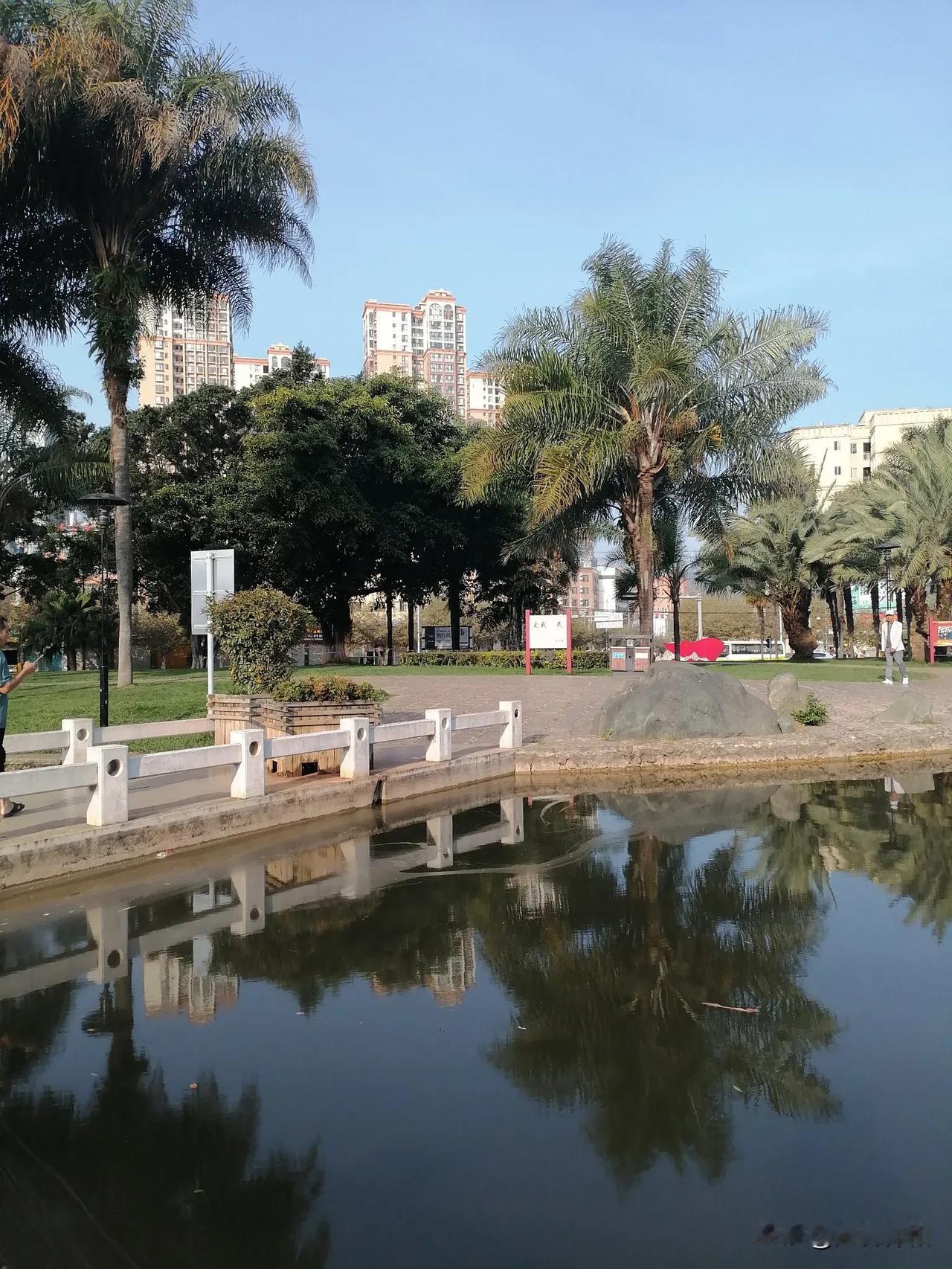 #秋日生活碎片打卡#
        秋天一晃而过，而东北老家已经进入了冬季，朋