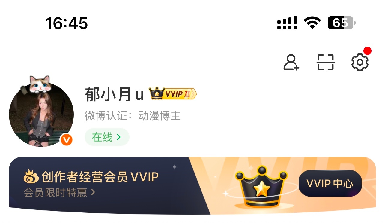 微博更新完这个在线功能认真的吗[疑问] ​​​