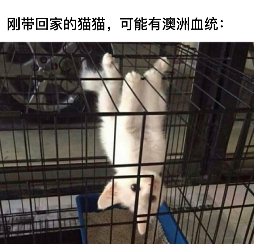 地球另一边的#今日memes# //#我的春日狂欢日记# ​​​