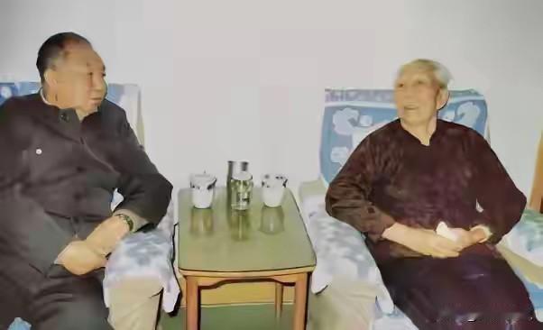 这张珍贵合影拍摄于1989年10月，王震将军家中迎来了一位老友，此时的王震将军已