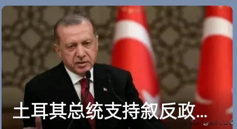 最新消息:特朗普称美国不应卷入叙利亚的冲突。末日拜登继续挖坑想借土耳其之手对付俄