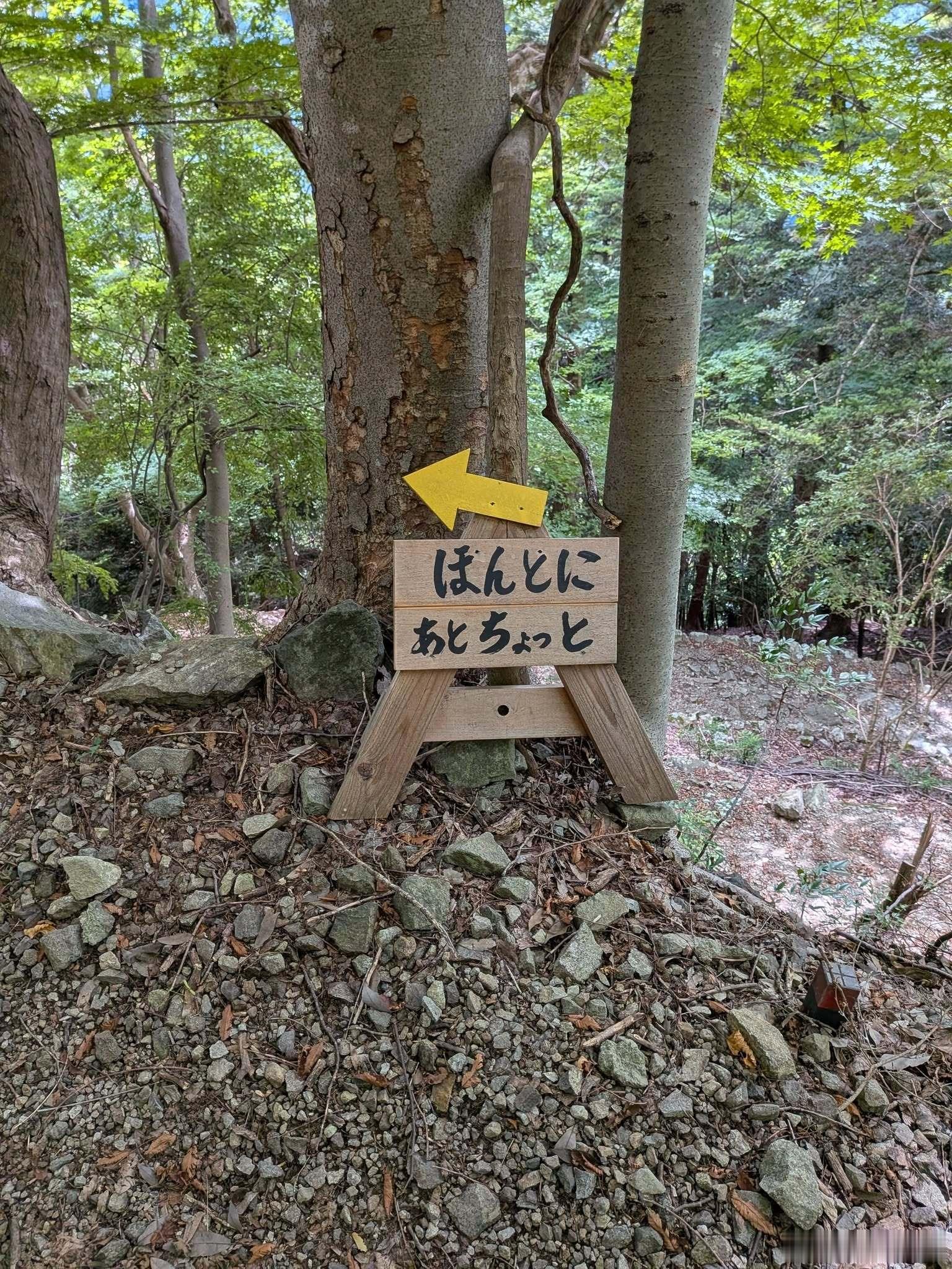【 原推「至今爬过的山中，最为『体贴』的感受」 】「真的，只要再走一下」 