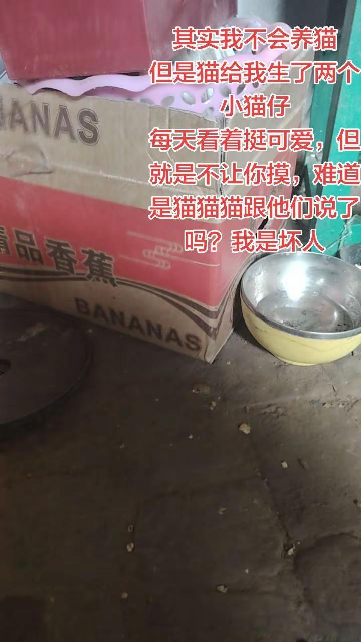 创意文案玩法集