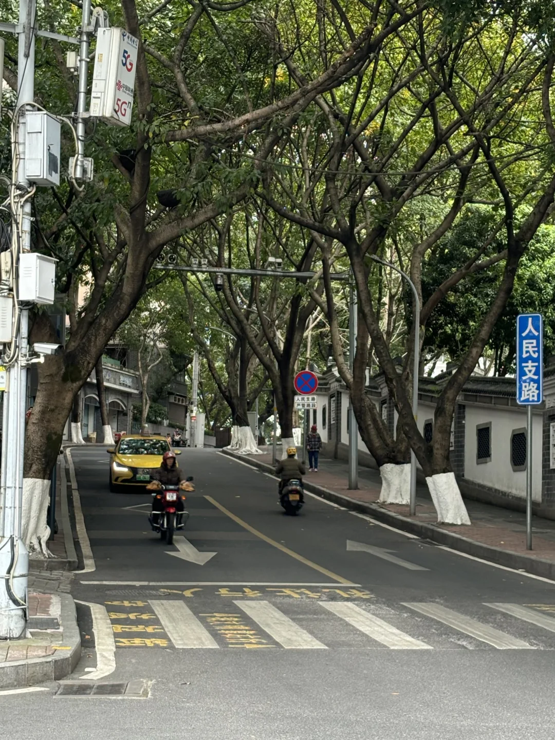 在重庆 最喜欢的walk路线