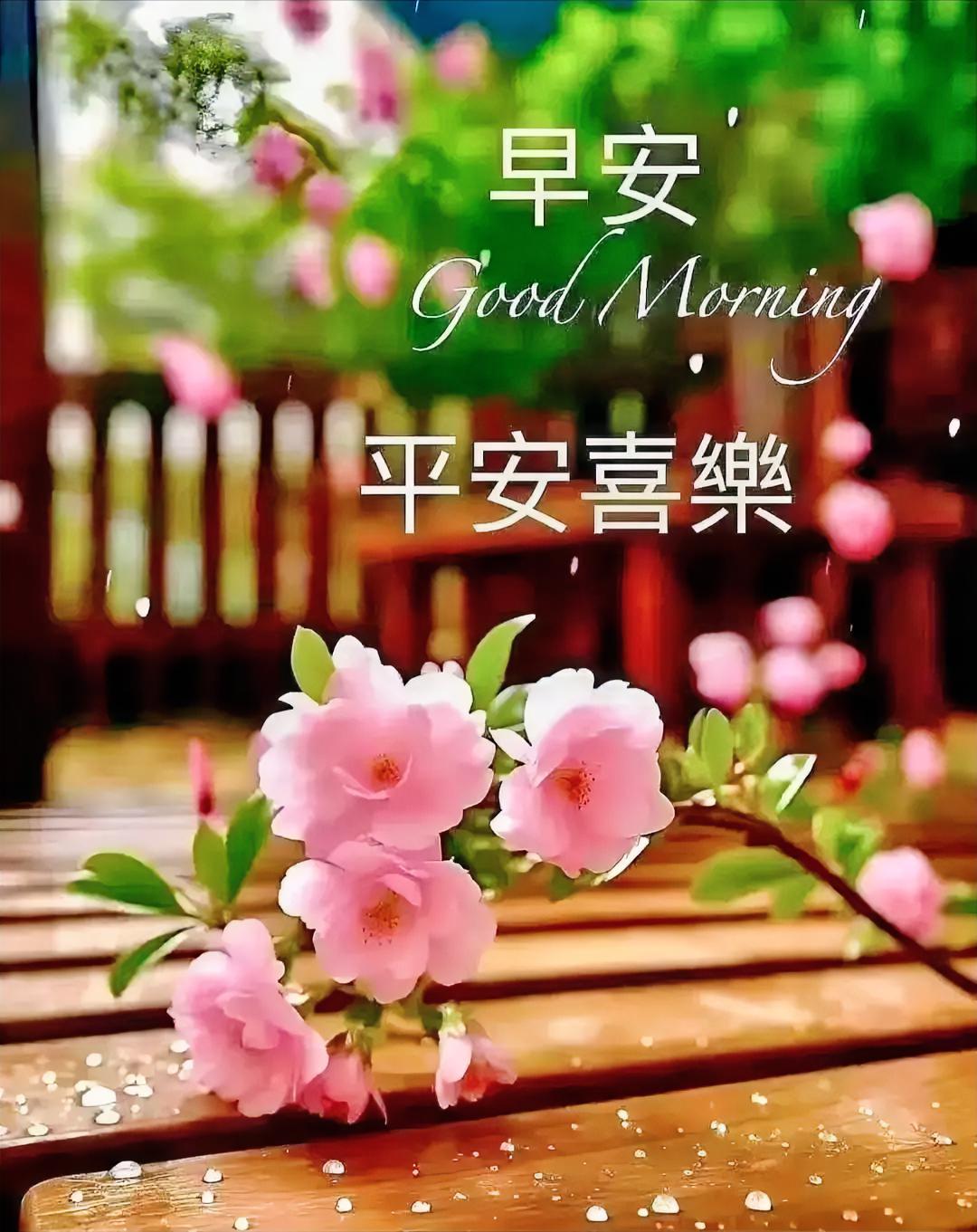 早安！粉色小花带着露珠醒来，把平安喜乐悄悄塞进你口袋，今日份好运已送达～
分享清