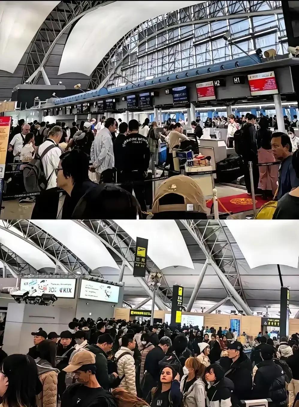 一觉醒来，全是归国的游子，日本机场全是中国人，排成了长龙，里三层外三层，有些人其