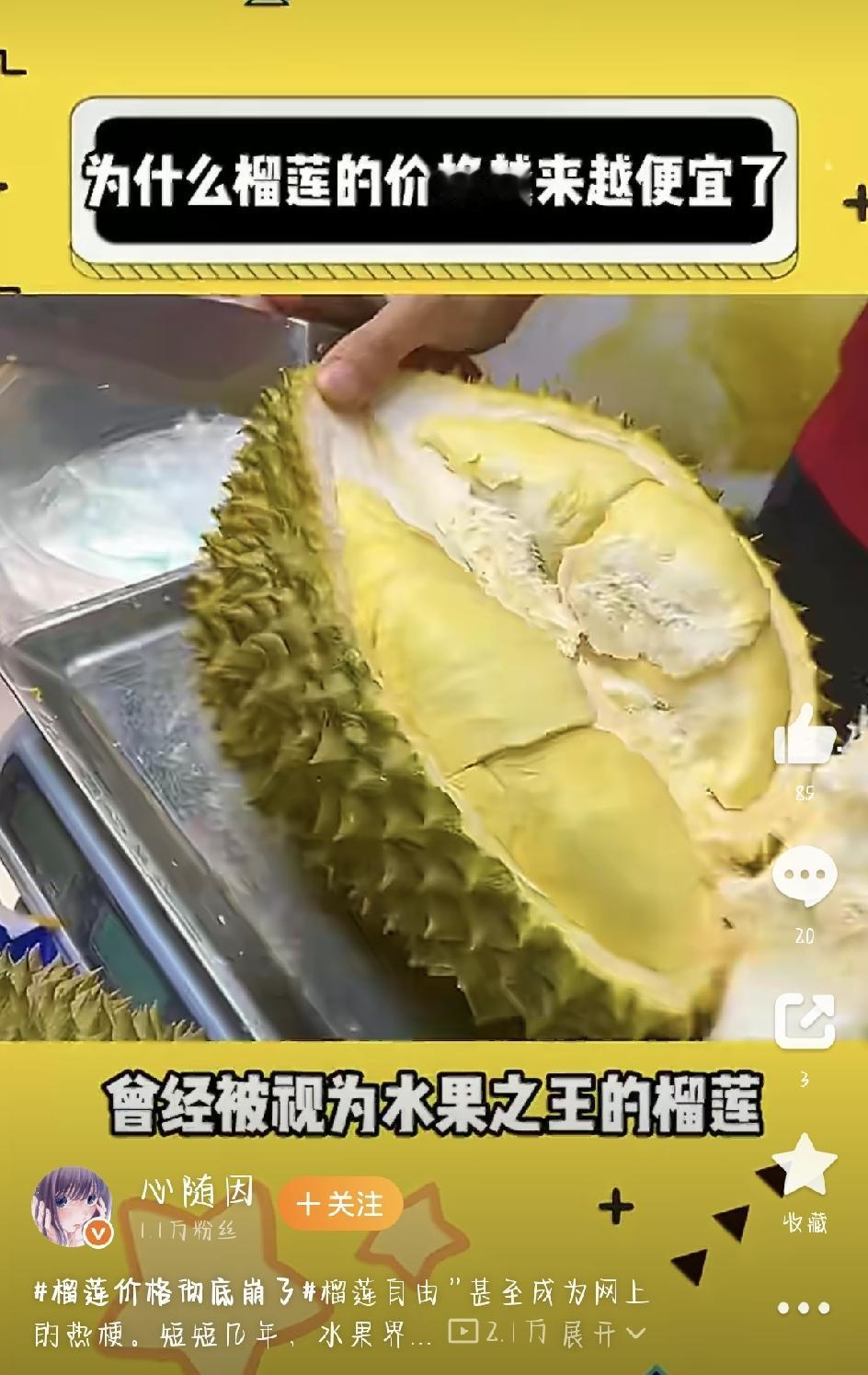今年夏天，要说水果界最大的新闻，那必须是——榴莲降价了，而且是断崖式大跌。
以前