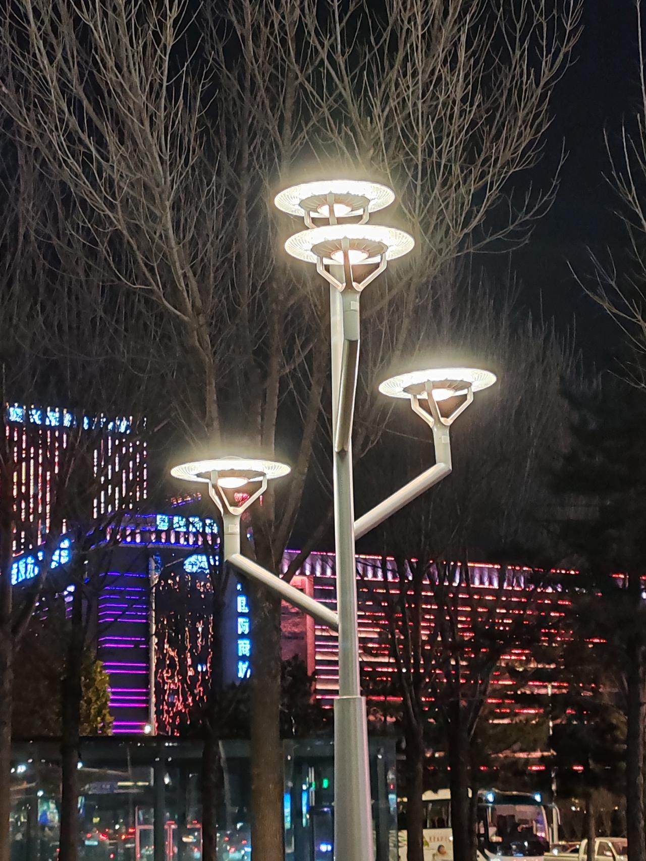 没有埋没孩子的才华，为他们提供了充足的成长条件，做父母的就算不上失败。父母应尽的