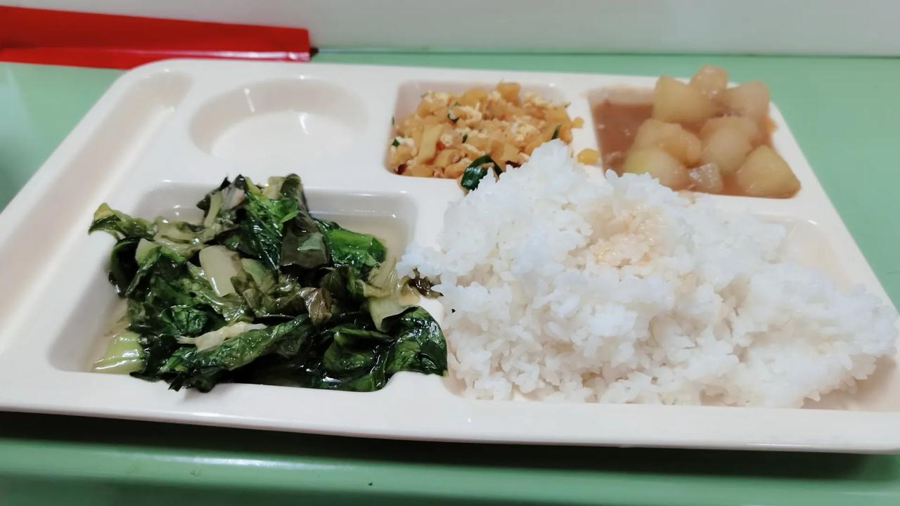 大家好，我是广西二姐，今天分享进工厂打工的伙食，三个菜没见过肉，青菜用开水煮的，