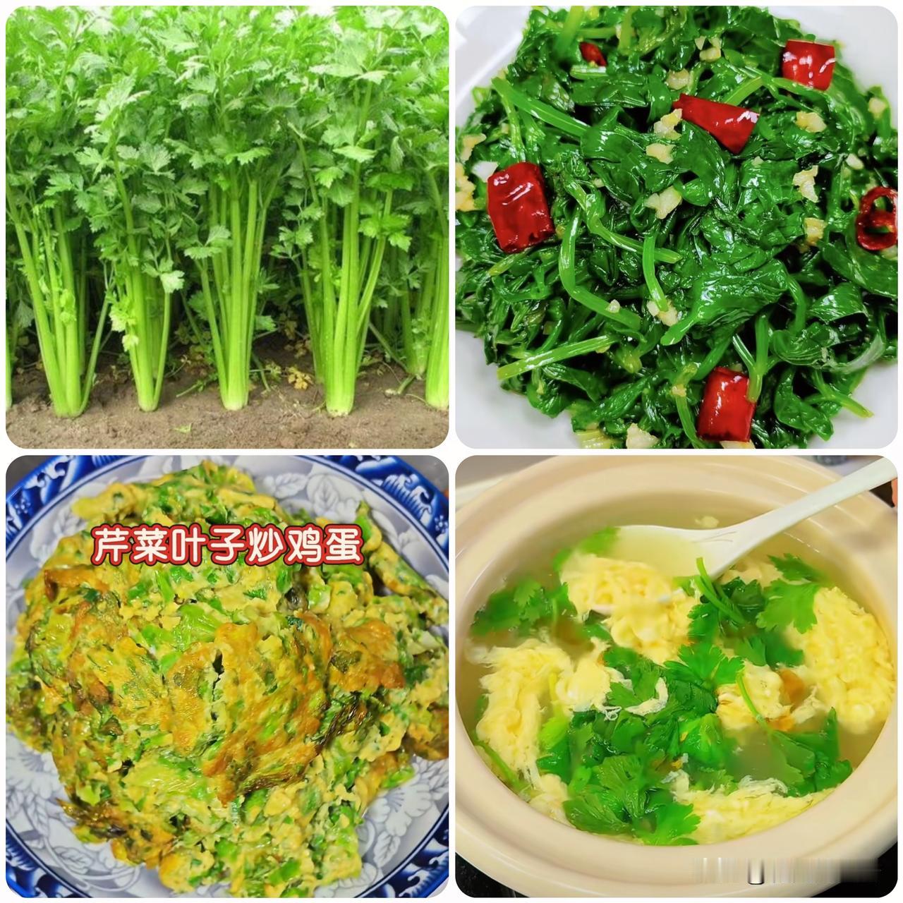 不少人处理芹菜直接摘掉叶子，其实芹菜叶完全能吃，营养还不比茎差。叶子富含维生素、