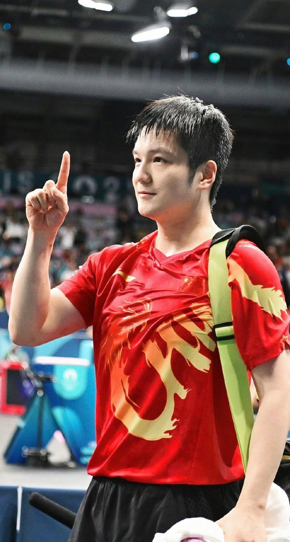27岁的樊振东12年集齐超级全满贯 热爱运动，崇尚体育，小白球女神一定会保佑我们